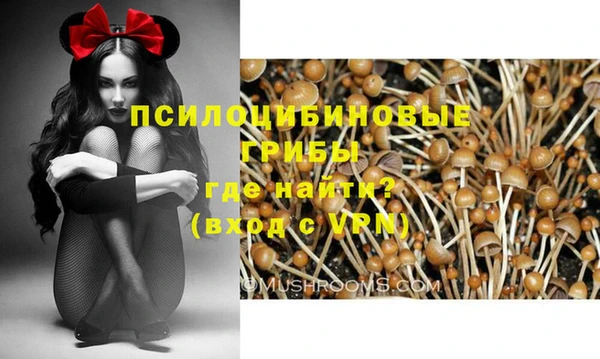 таблы Верхний Тагил