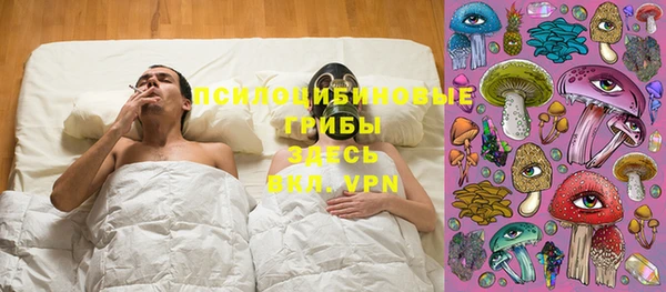 прущие грибы Верхнеуральск