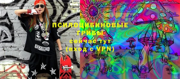 прущие грибы Верхнеуральск
