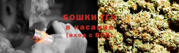 прущие грибы Верхнеуральск